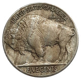 5 cents bison U.S.A. 1916
